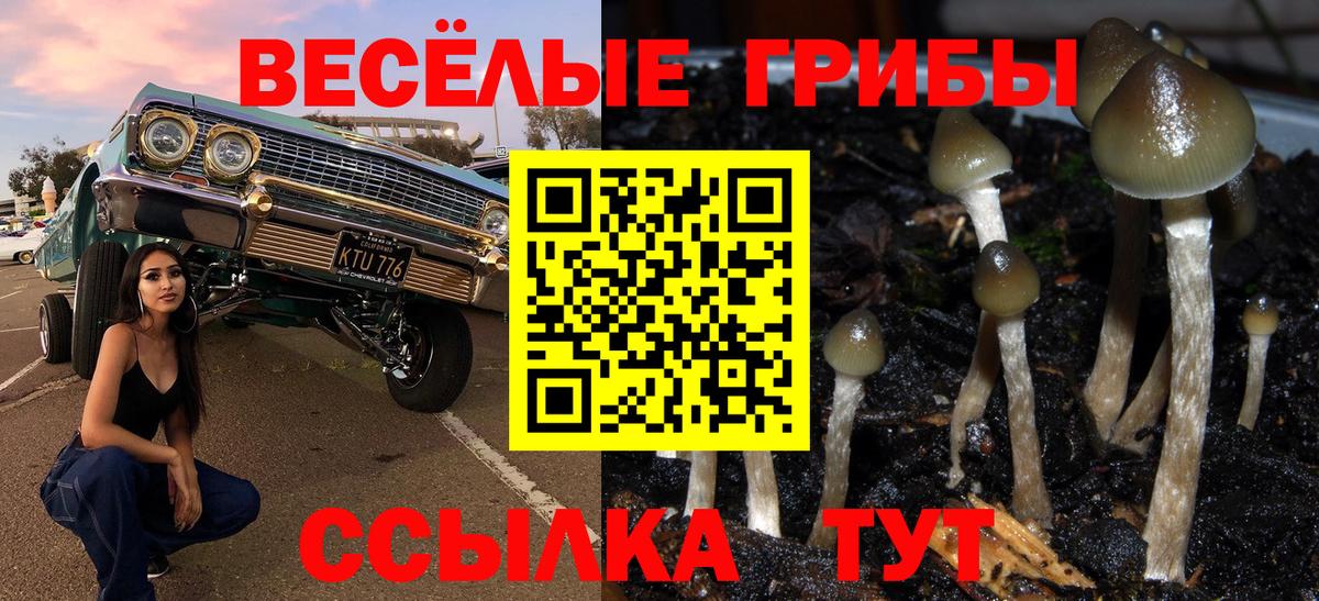 как найти   Псилоцибиновые грибы MAGIC MUSHROOMS  Вход с VPN  Кохма 