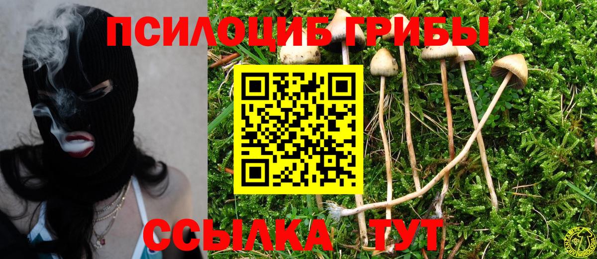 Псилоцибиновые грибы прущие грибы Кохма